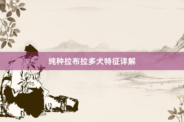 纯种拉布拉多犬特征详解