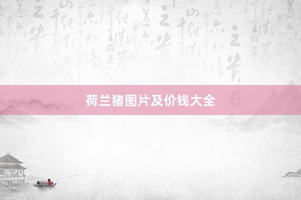 荷兰猪图片及价钱大全